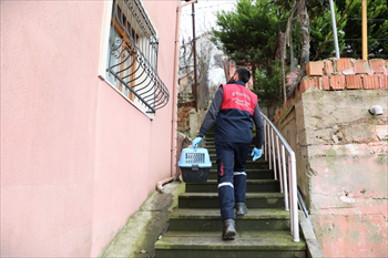 Beykoz Hayvan Rehabilitasyon Merkezi ve Doğal Yaşam Alanı (2).JPG